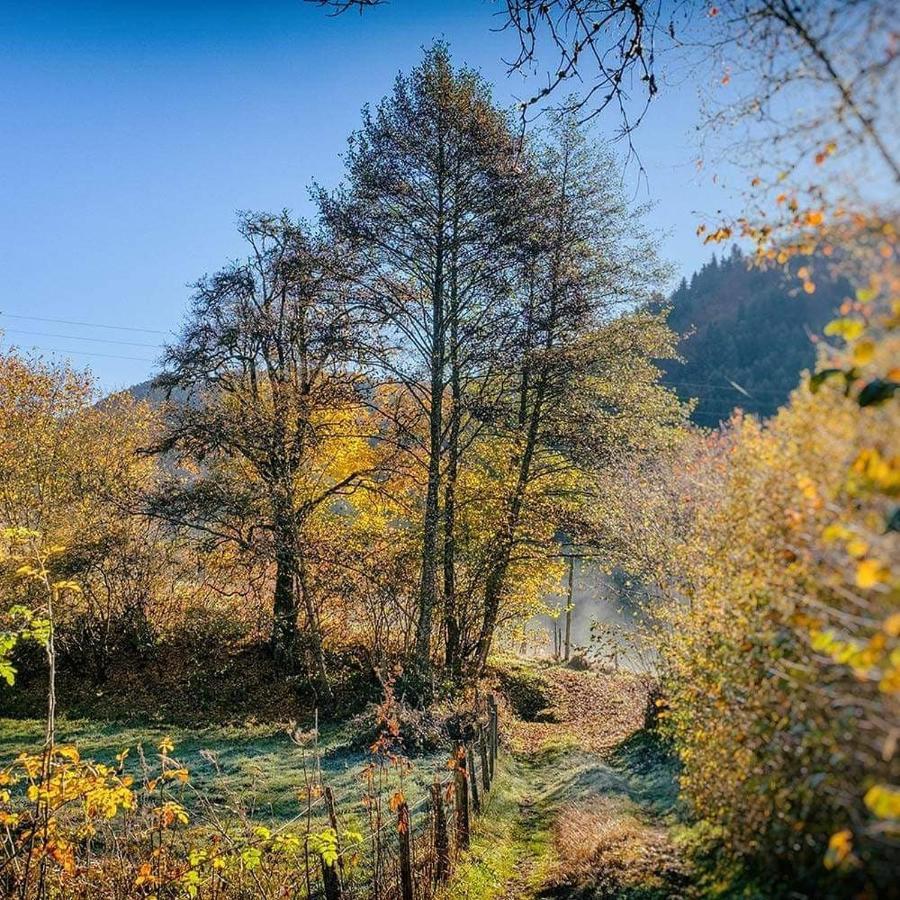 Moulin Des Borderies Bed & Breakfast Singles Eksteriør bilde